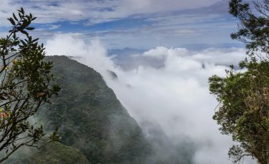 Silent Valley View