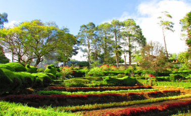 Chettiar Park