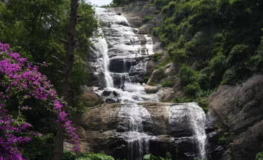 Bear Shola Falls
